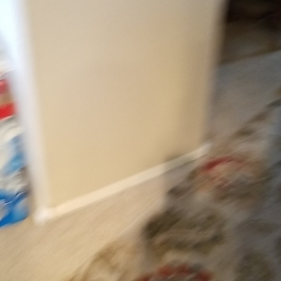 Talbot - Picture 4 of 4